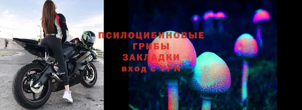 spice Протвино