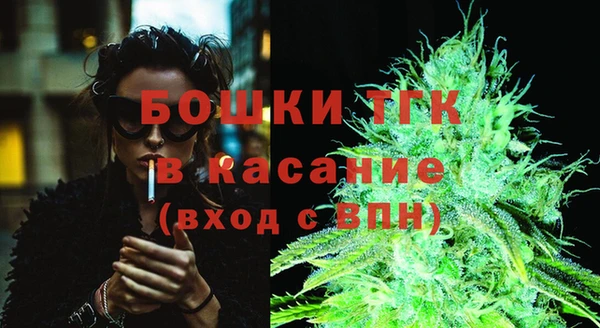 стафф Арсеньев